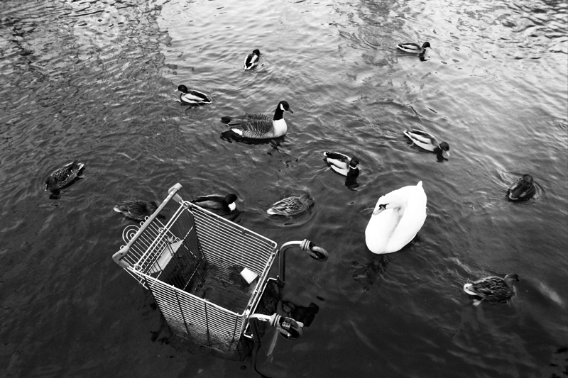 Supermarket trolleys litter the Kennet river.<br />UNITED KINGDOM, Reading | 2010