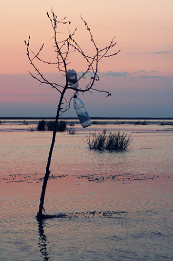 Tons of plastic bottles pollute the Danube Delta Biosphere Reserve, a UNESCO World Heritage Site.<br />ROMANIA, Sulina | 2007